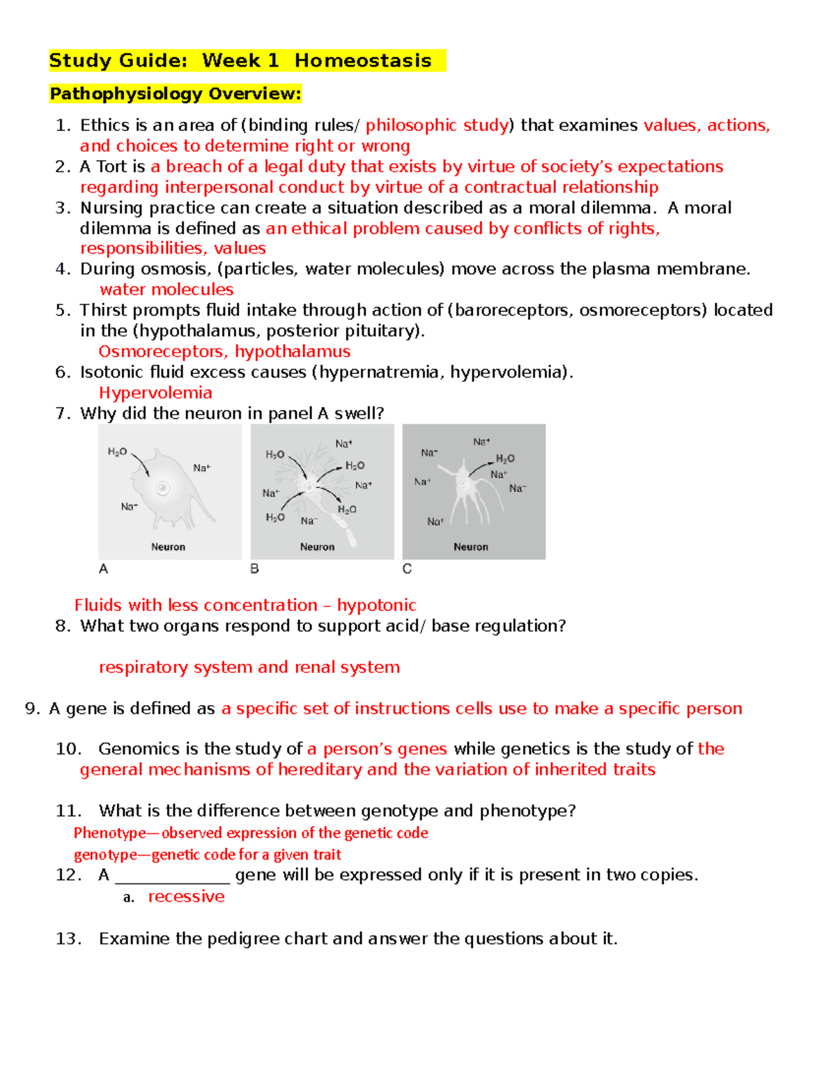 Study Guide Week 1 Homeostasis Med Surg - Study Guide: Week 1 ...