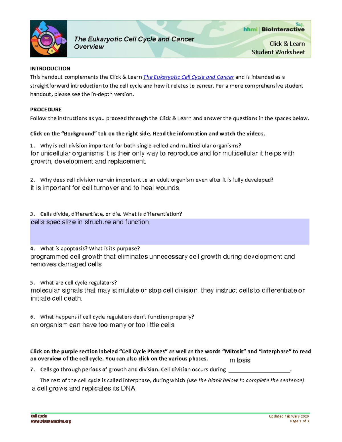 Cell Cycle Overview Worksheet The Eukaryotic Cell Cycle And Cancer