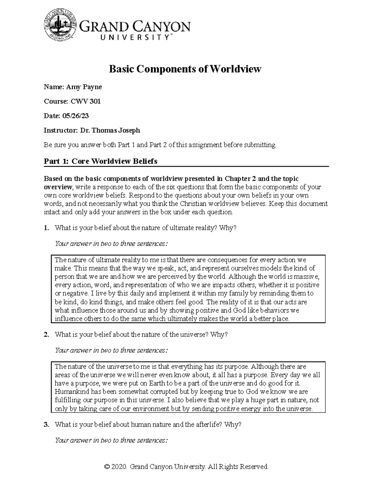 worldview analysis final submission assignment