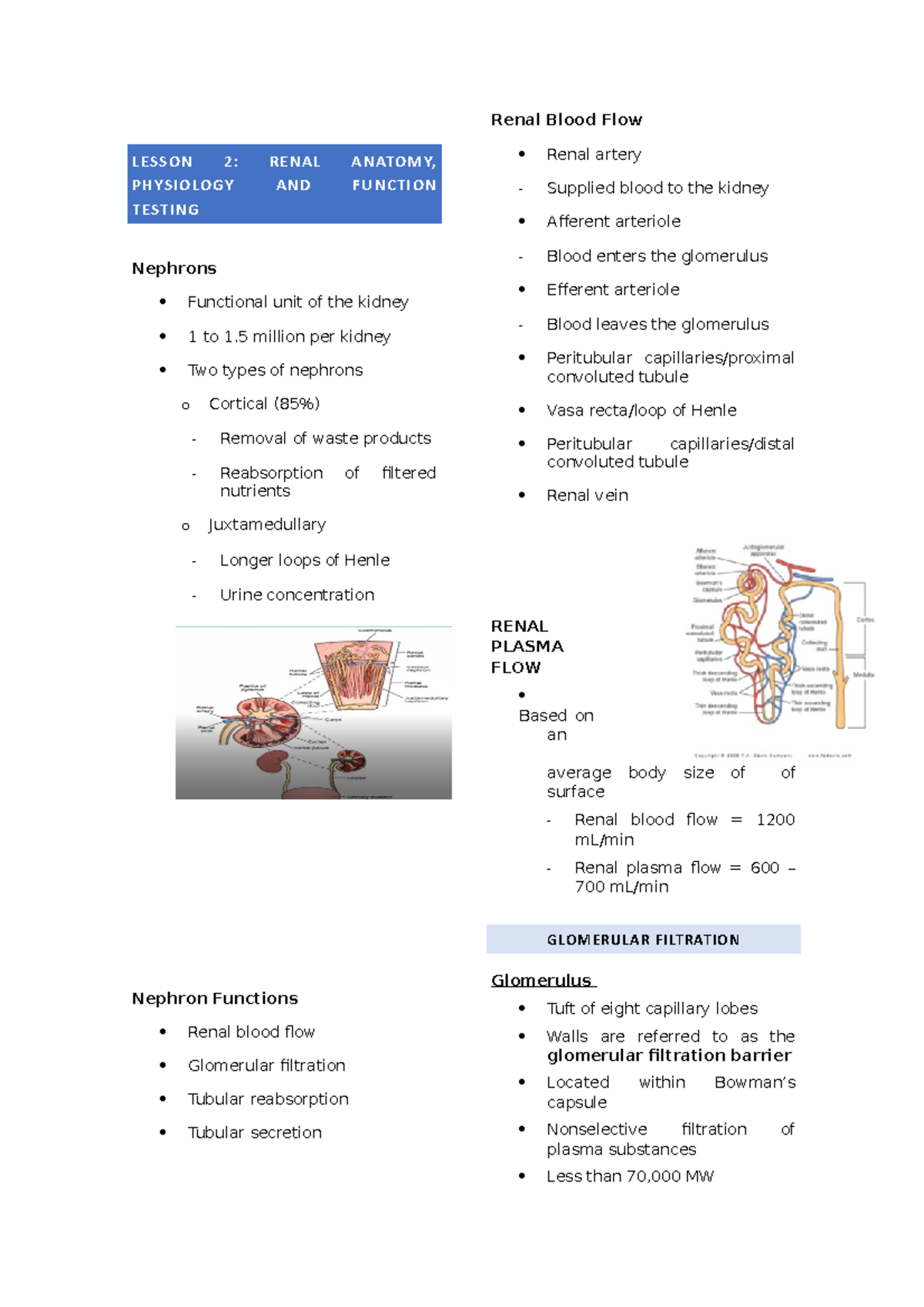 Renal Function - LESSON 2: RENAL ANATOMY, PHYSIOLOGY AND FUNCTION ...