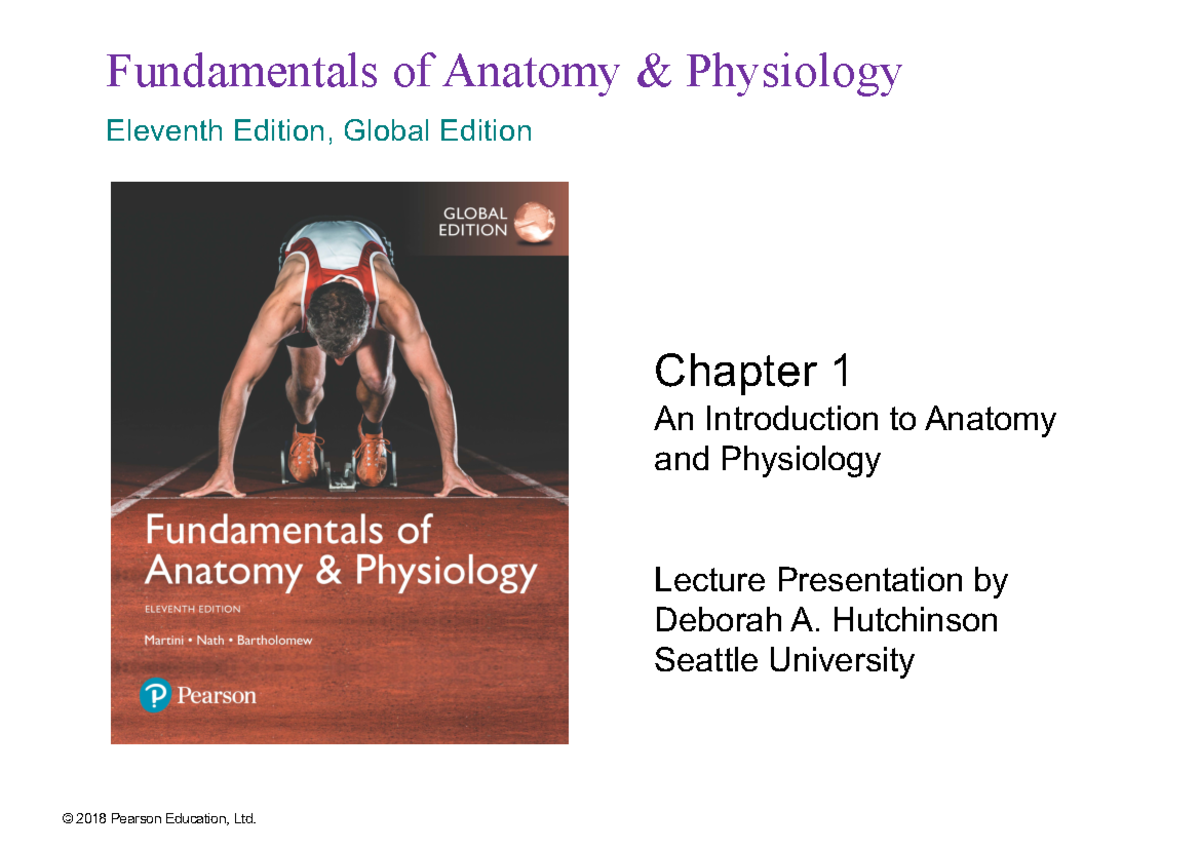 Fap11-ch01intro anatomy-lecture-WH adapted - Fundamentals of Anatomy ...