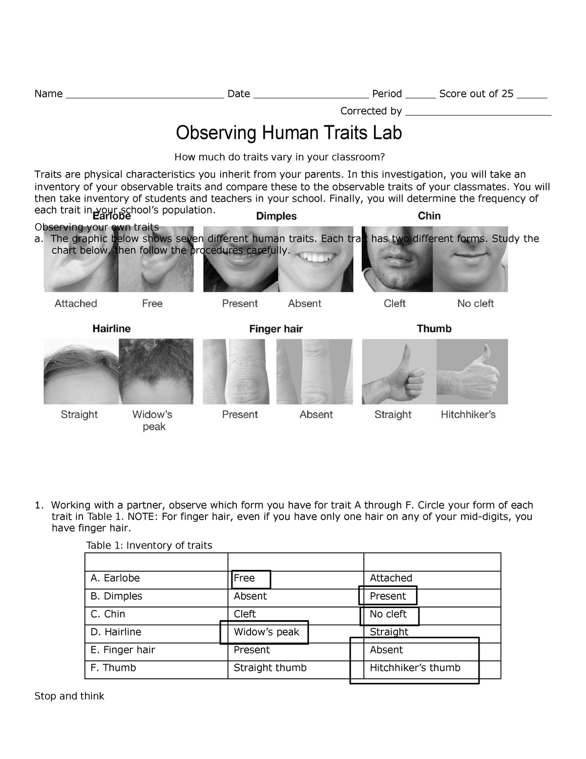 Human Traits 1 Human Traits 1 Name Date 