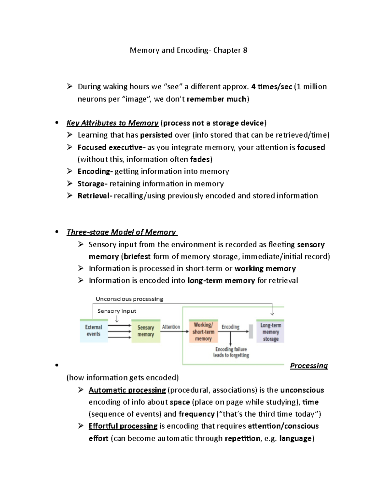 Memory and Encoding chapt 8 - Memory and Encoding- Chapter 8 During ...