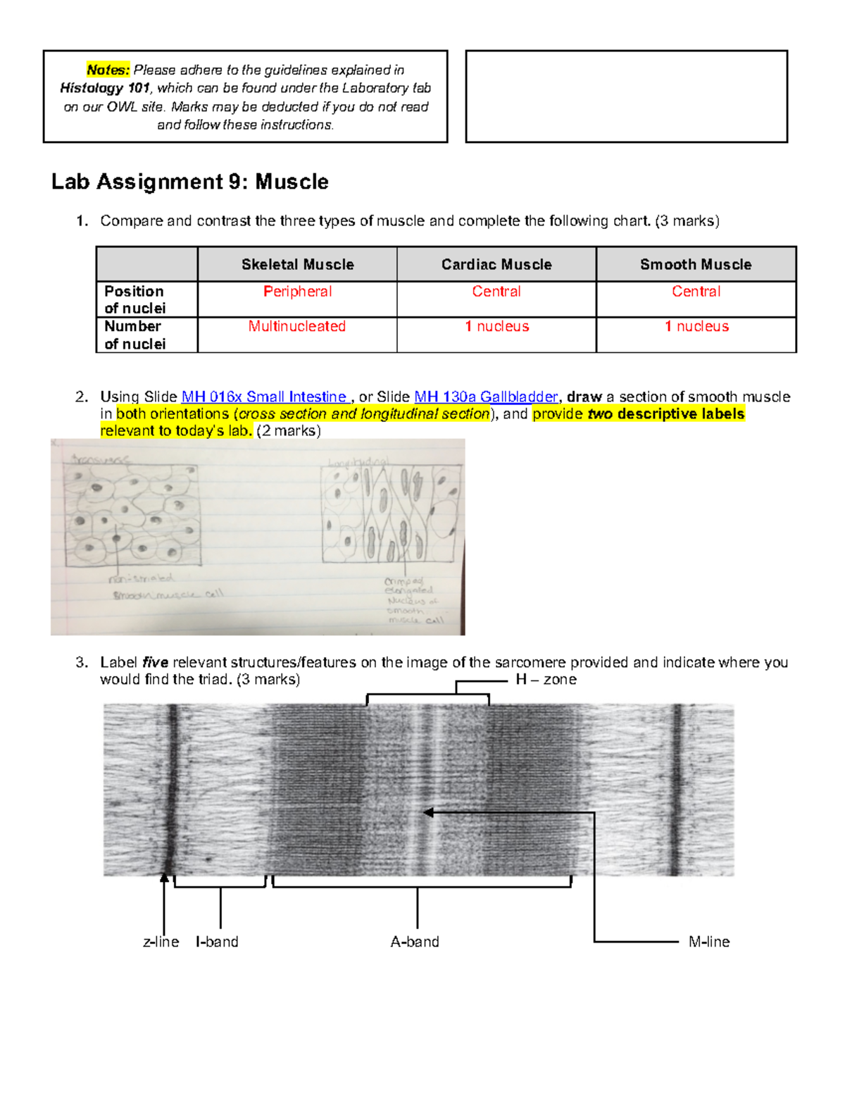 Lab 9 Assignment Semester 1 2020/22 - 3309 - UWO - Studocu