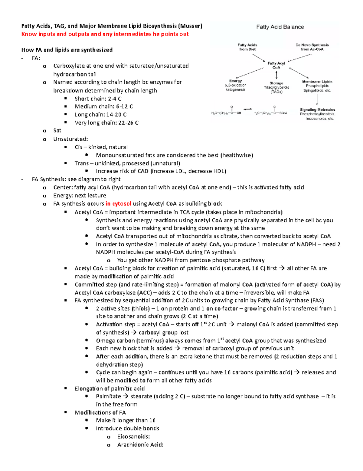 2. Fatty Acids, TAG, and Major Membrane Lipid Biosynthesis (Musser ...