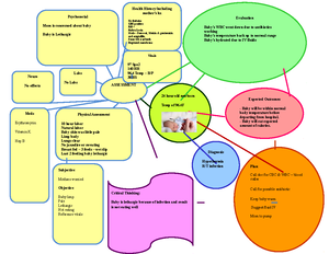 Labor Case Study Emily - Case Studies, Chapter 13, Labor and Birth ...