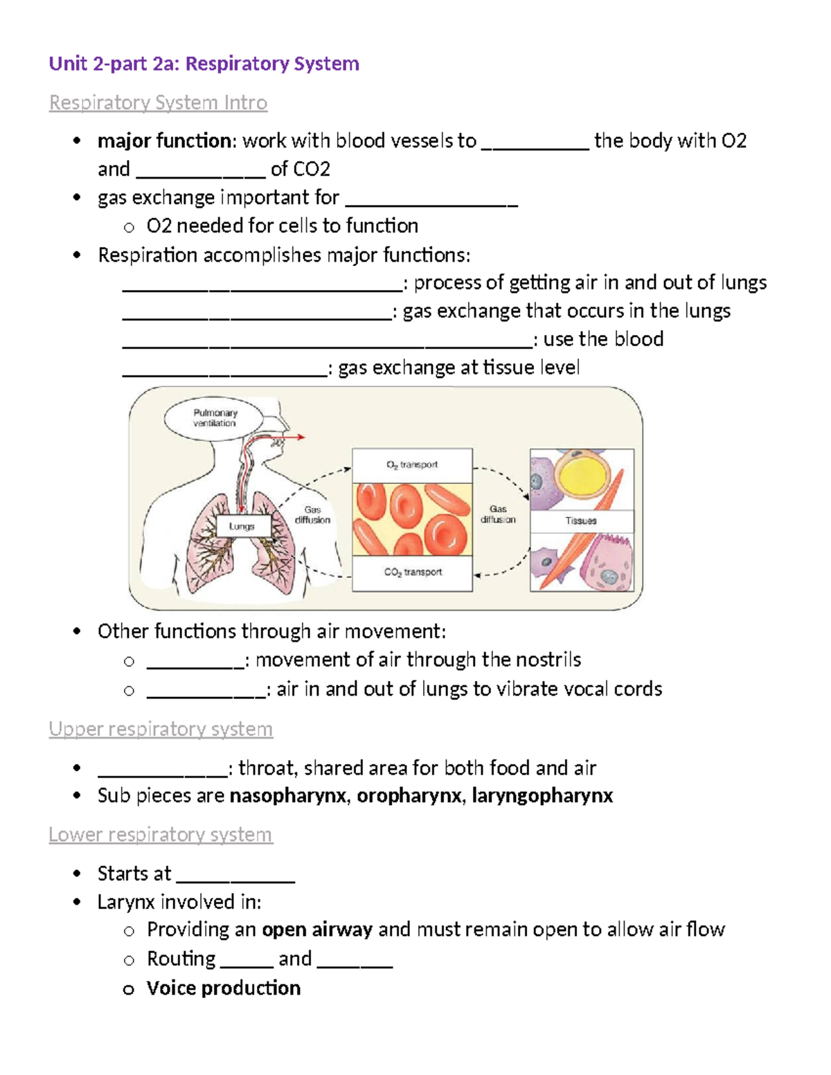 FILL IN Blank Unit 2 part 2a - Unit 2-part 2a: Respiratory System ...