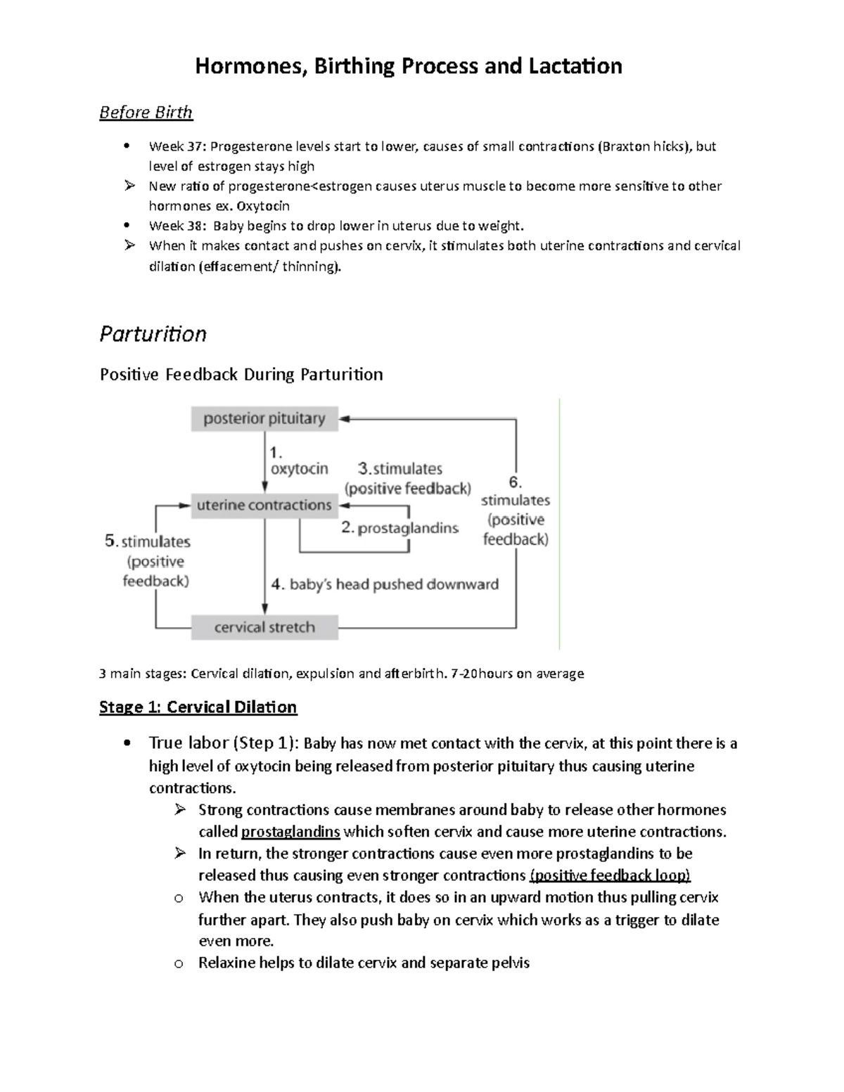 hormones-birthing-process-and-lactation-before-birth-week-37