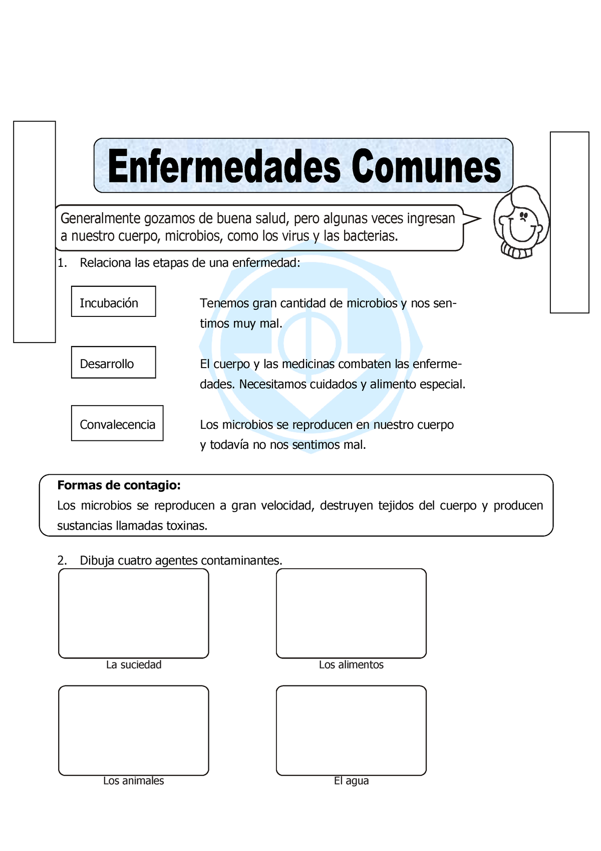 3ficha De Enfermedades Comunes Para Tercero De Primaria 1 Relaciona Las Etapas De Una 8068