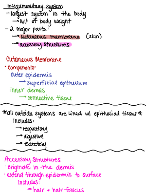 Reflexes and characteristics of polysynaptic Reflexes - REFLEXES and ...