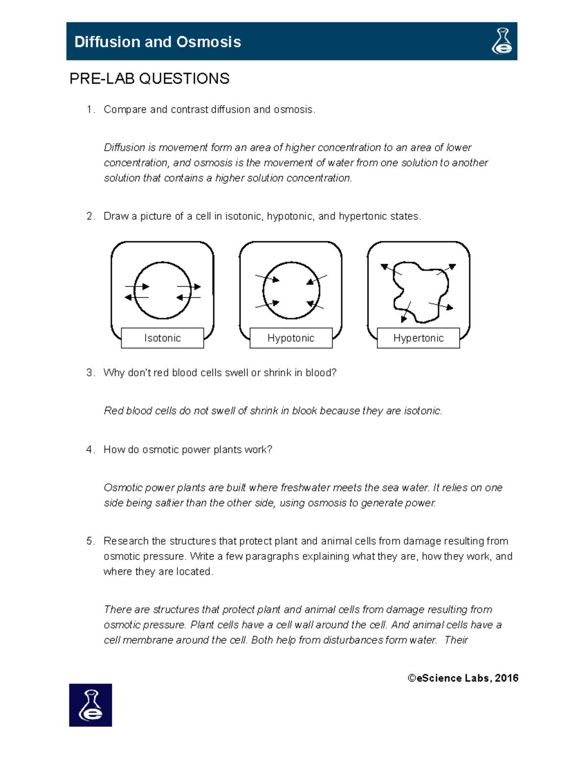 AP 5069 L04 Diffusion And Osmosis PRELAB QUESTIONS Compare and