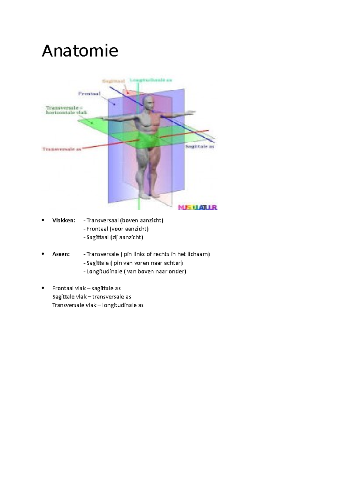 Samenvatting bewegingswetenschappen - Anatomie Vlakken: - Transversaal ...