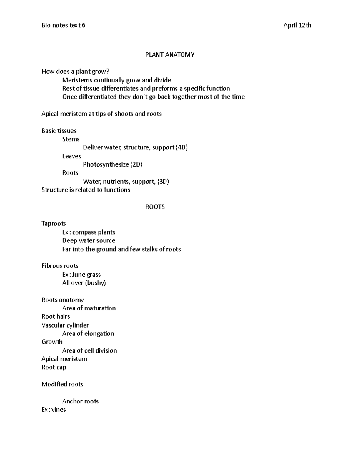 Bio Notes 6 PLANT ANATOMY How Does A Plant Grow Meristems
