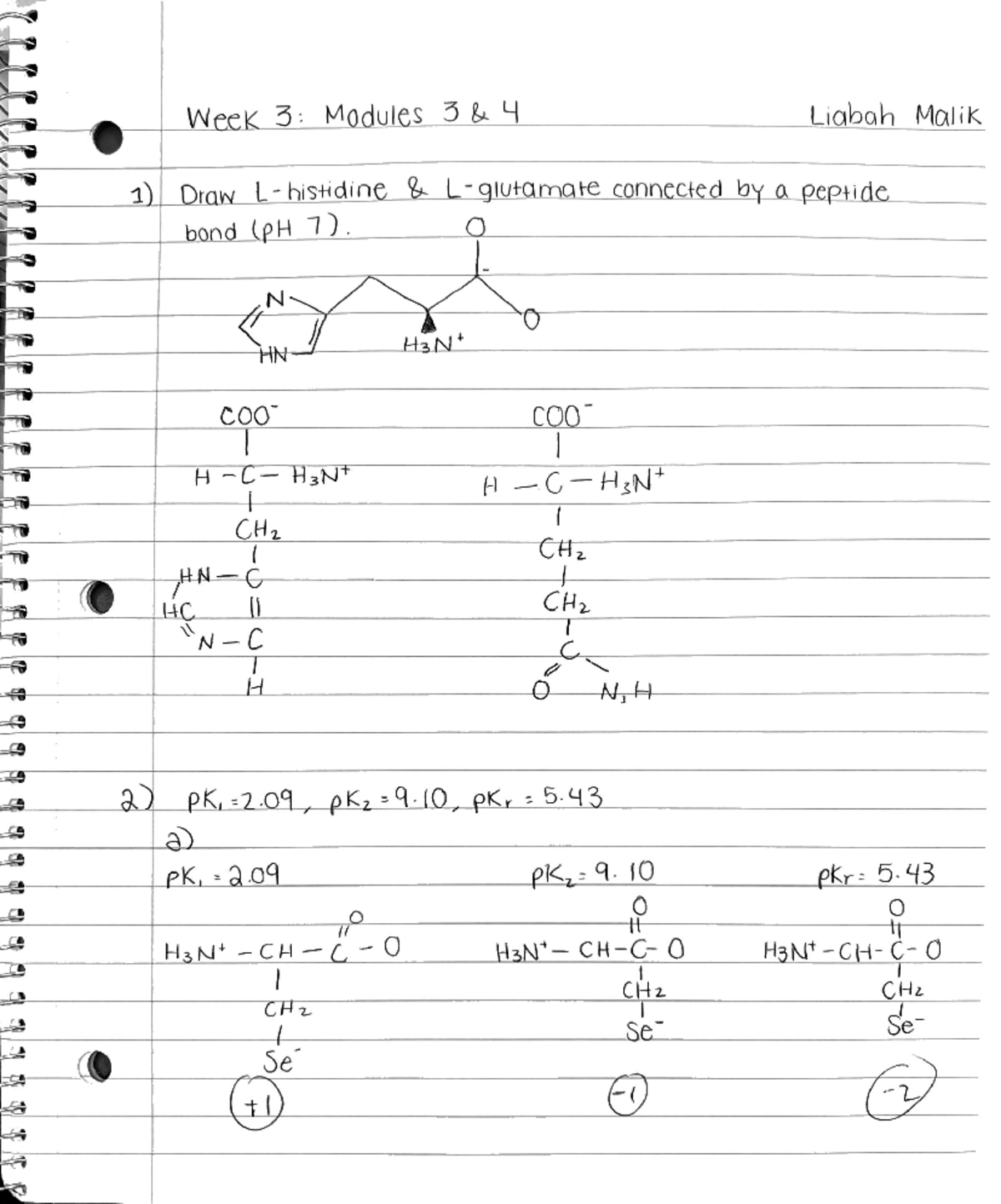 Week 3 Amino Acids and Peptides - BIOL 483 - Studocu