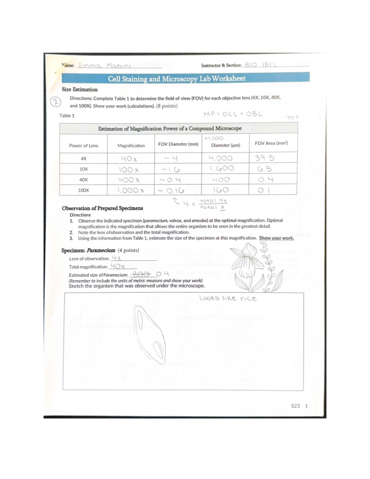 Miscroscopy Worksheet - BIO-181L - Studocu
