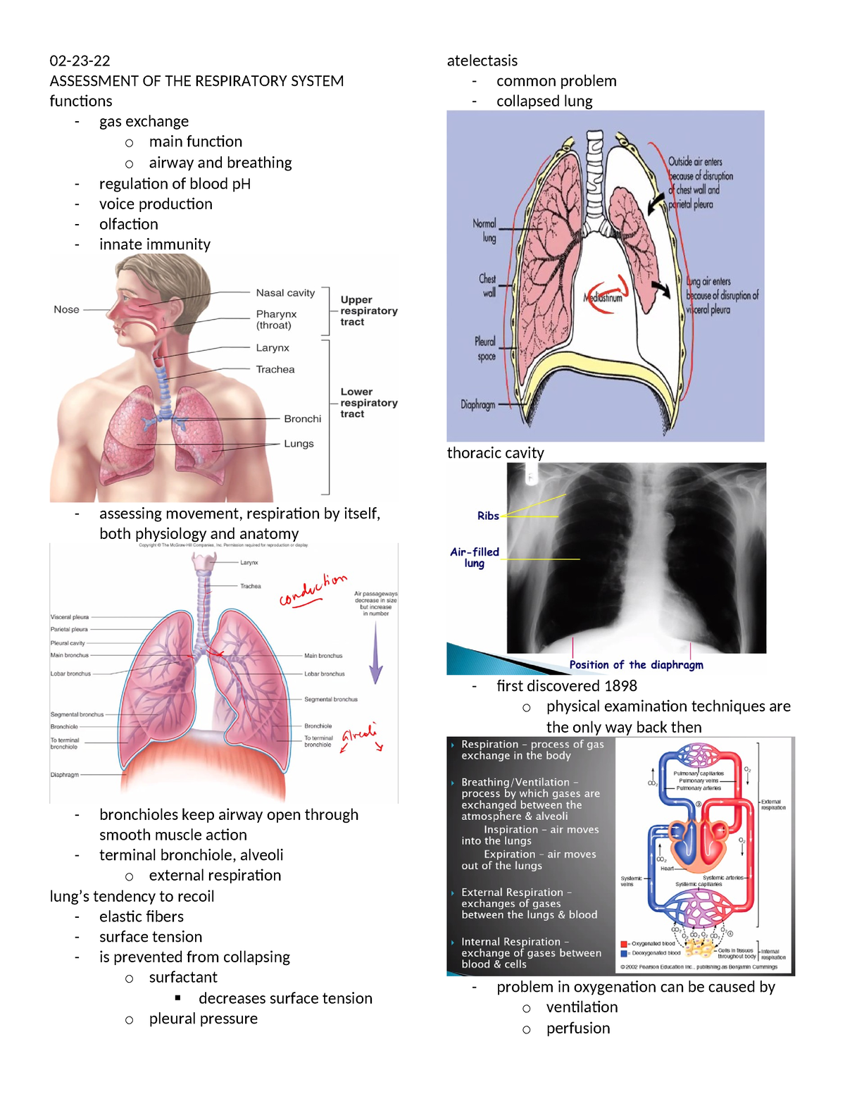 Notess - lecture notes - 02-23- ASSESSMENT OF THE RESPIRATORY SYSTEM ...