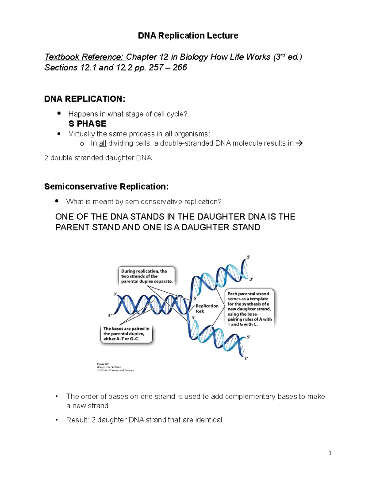 CH12 DNA Replication - DNA Replication Lecture Textbook Reference ...