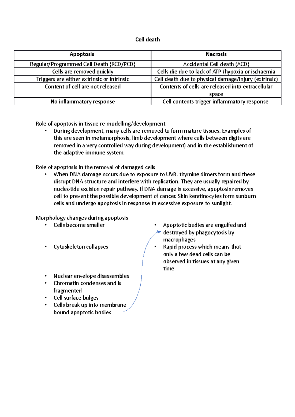 Cell death - N/A - Cell death Apoptosis Necrosis Regular/Programmed ...