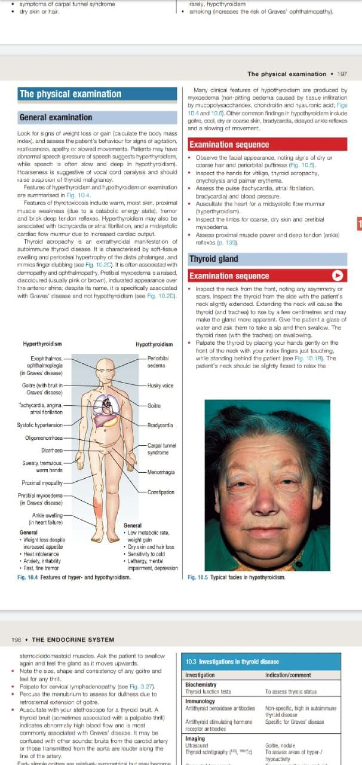 Thyroid - Physiology - Studocu