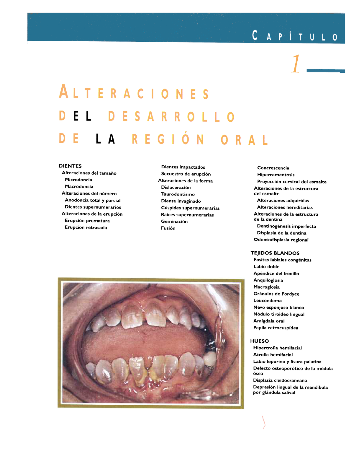 Probactis - Ya hemos comentado en otras ocasiones que el estado de nuestros  dientes 🦷 y nuestra microbiota oral están directamente relacionados. De  esta forma, vemos como se produce un círculo cerrado