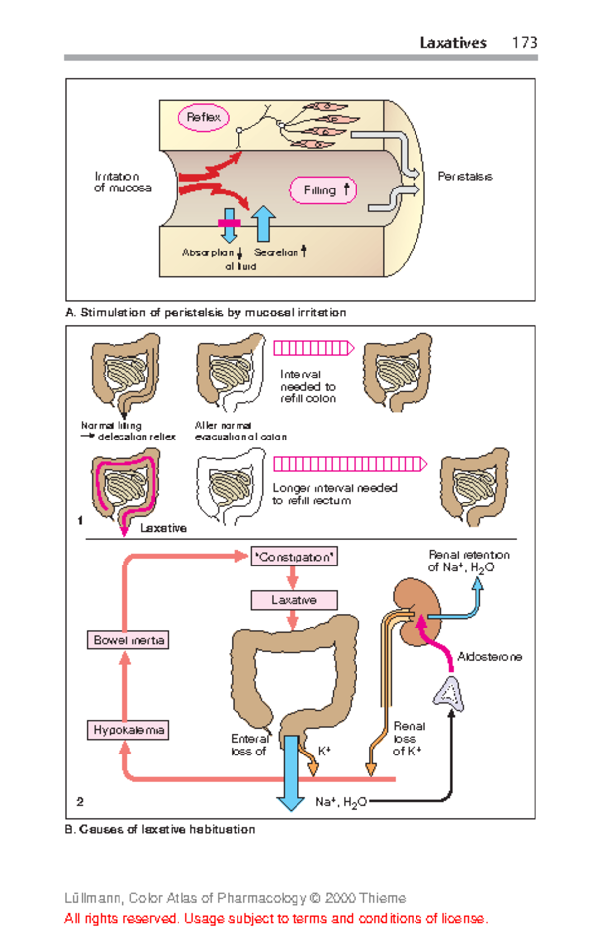 Antitb37 Laxatives 173 B. Causes of laxative habituation A