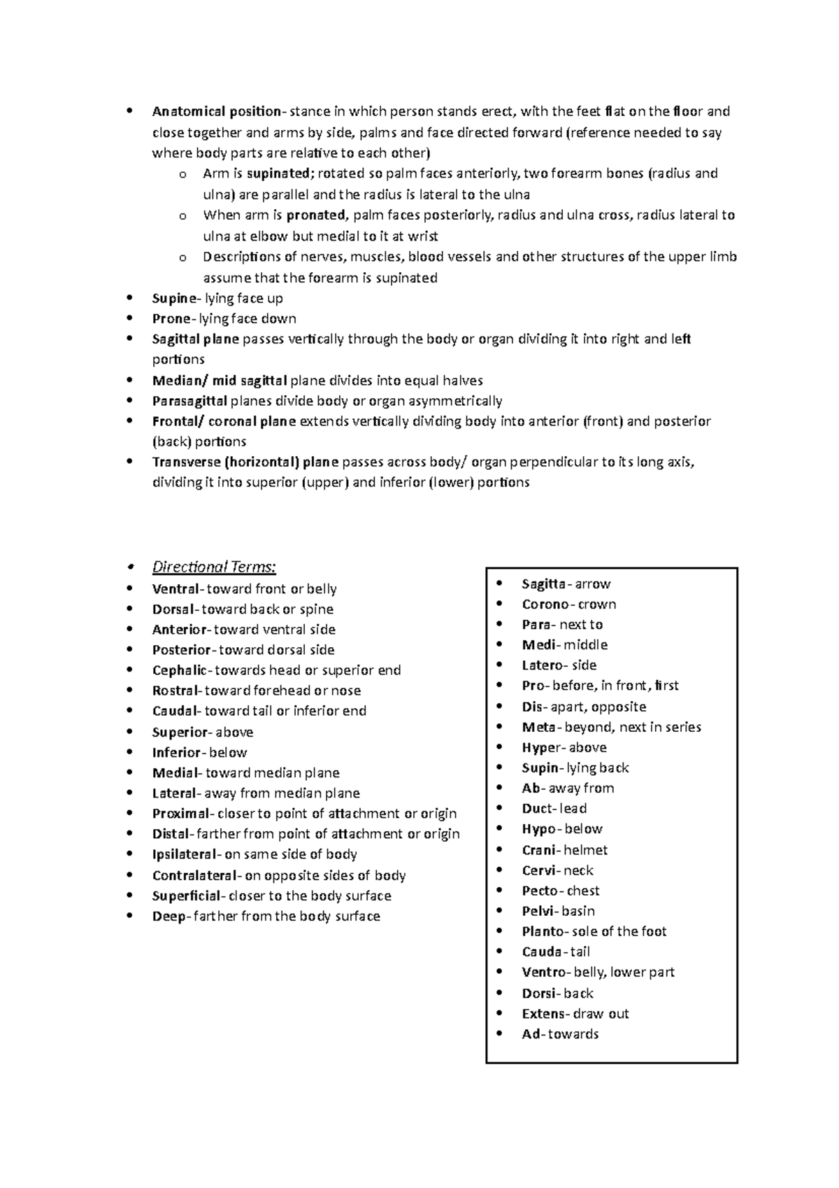 Summary Lecture Anatomical Terms Anatomical stance in which