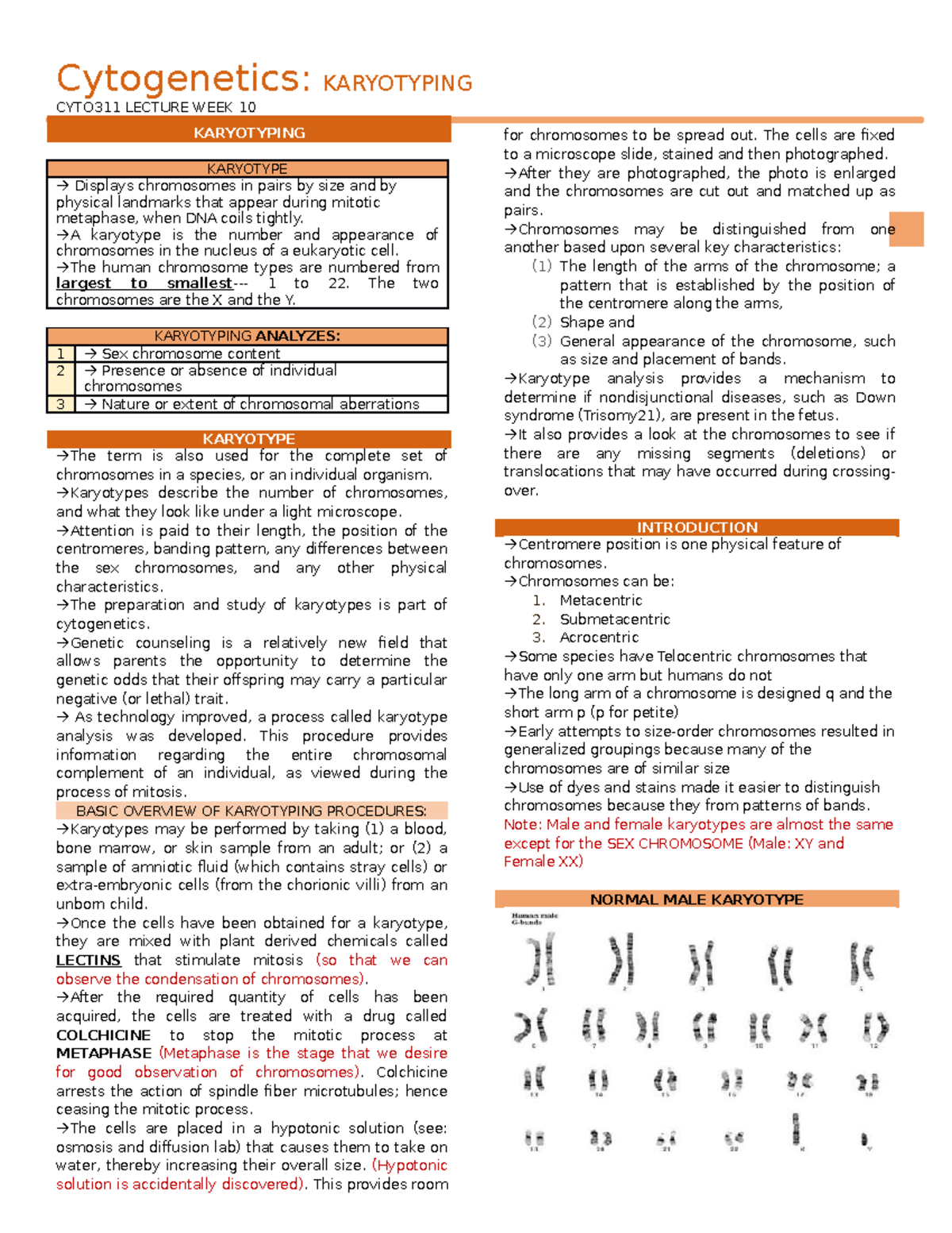 CYTO LEC-10 Karyotyping - Cytogenetics: KARYOTYPING CYTO311 LECTURE ...