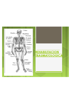 Retardo Mental Mapa Conceptual - 85 de población con RM. Desarrollo de ...