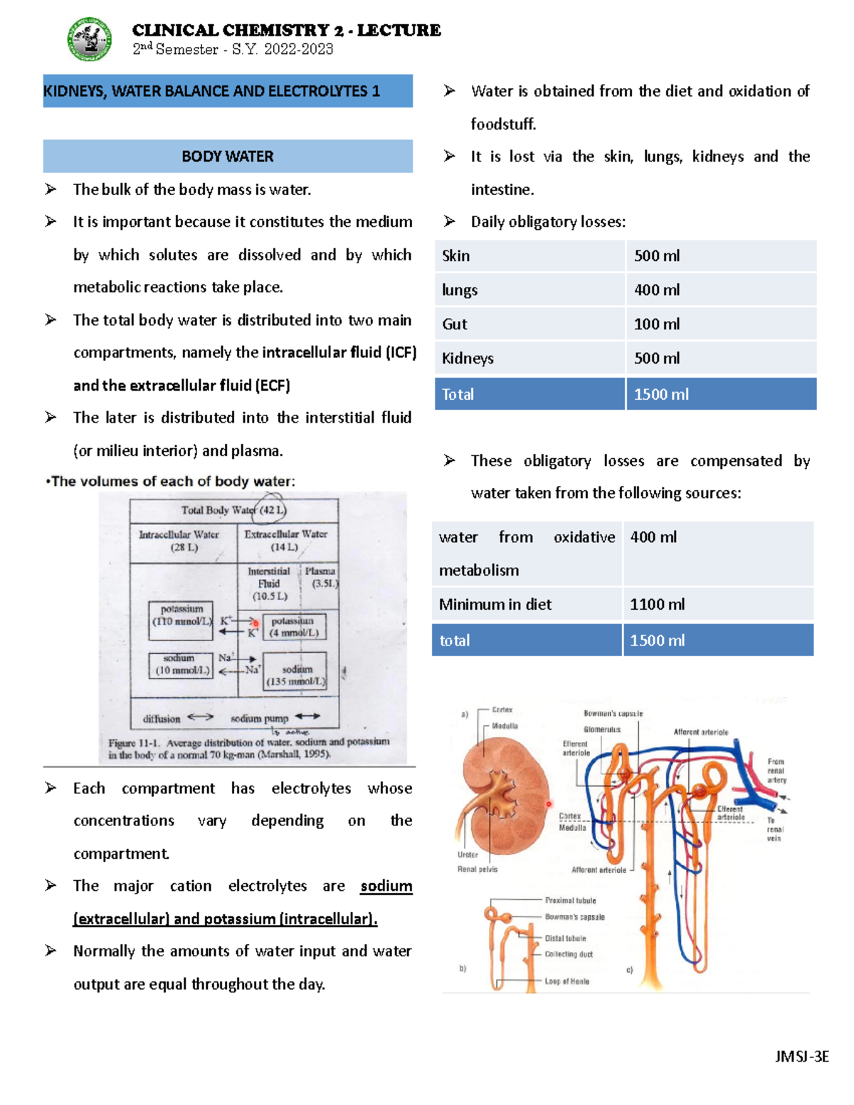 CC2-LEC - Kidneys, Water Balance AND Electrolytes 1 - 2 nd Semester - S ...