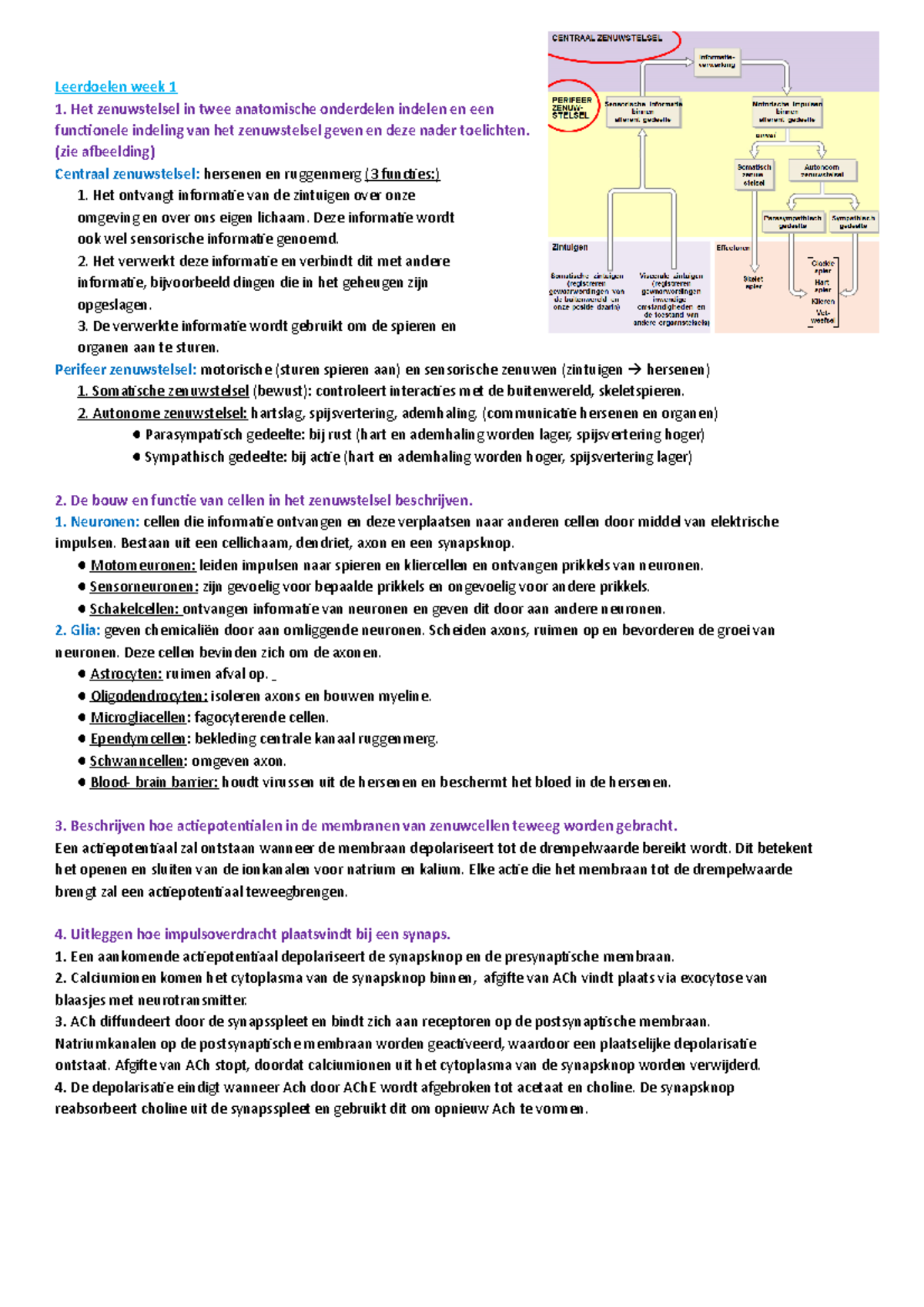 Samenvatting Merck Manual Medisch Handboek College Allemaal Compleet