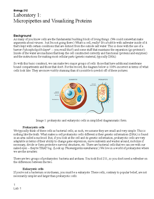 Lab 4 Cellular Communication - Biology 212 Laboratory 4: Cellular ...
