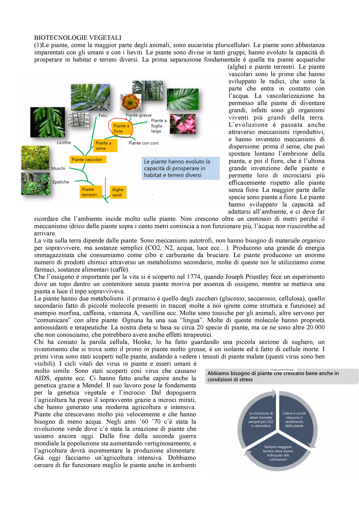 Biotecnologie Vegetali - BIOTECNOLOGIE VEGETALI (1)Le Piante, Come La ...