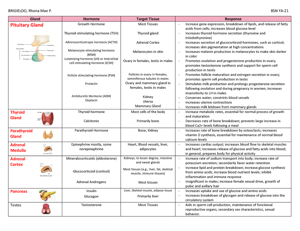 Endocrine - BRIGIELDO, Rhona Mae P. BSN YA- 21 Gland Hormone Target ...