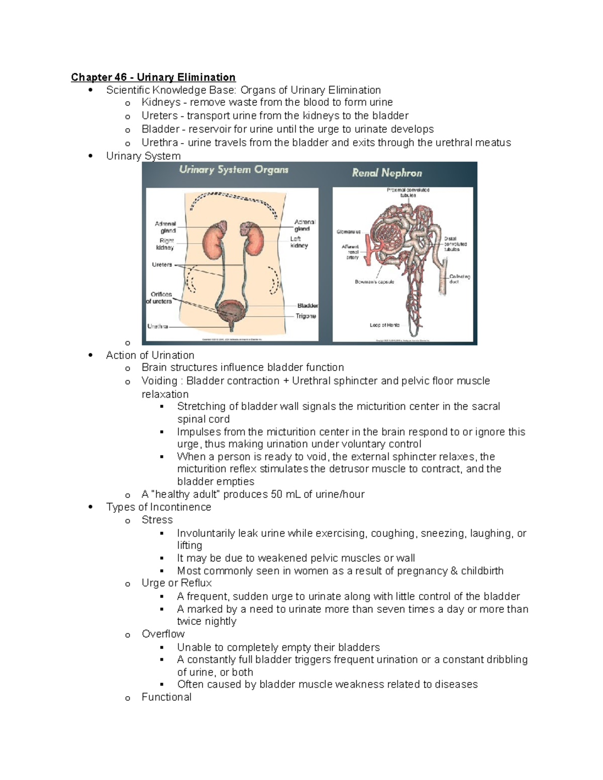 Chapter 46 - Lecture Notes 8 - Chapter 46 - Urinary Elimination ...