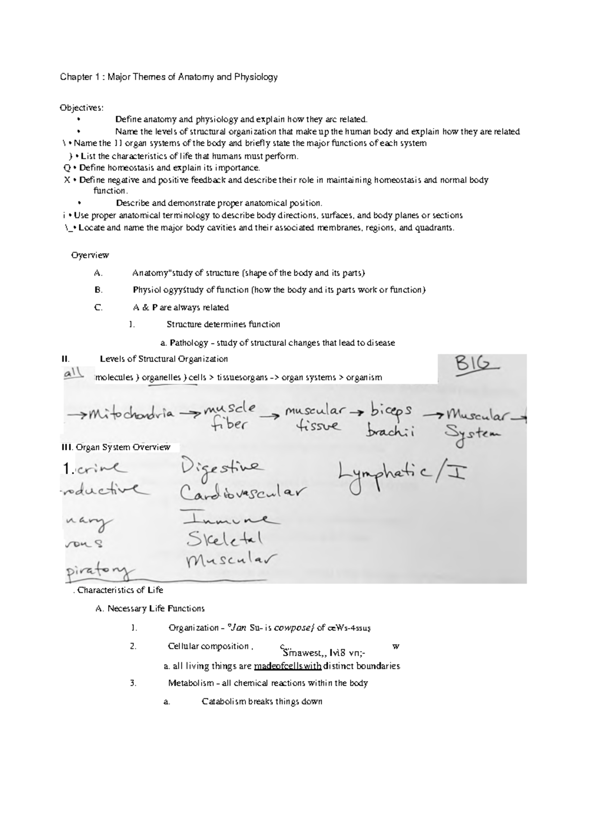 Chapter 1 Notes - Chapter 1 : Major Themes of Anatomy and Physiology ...