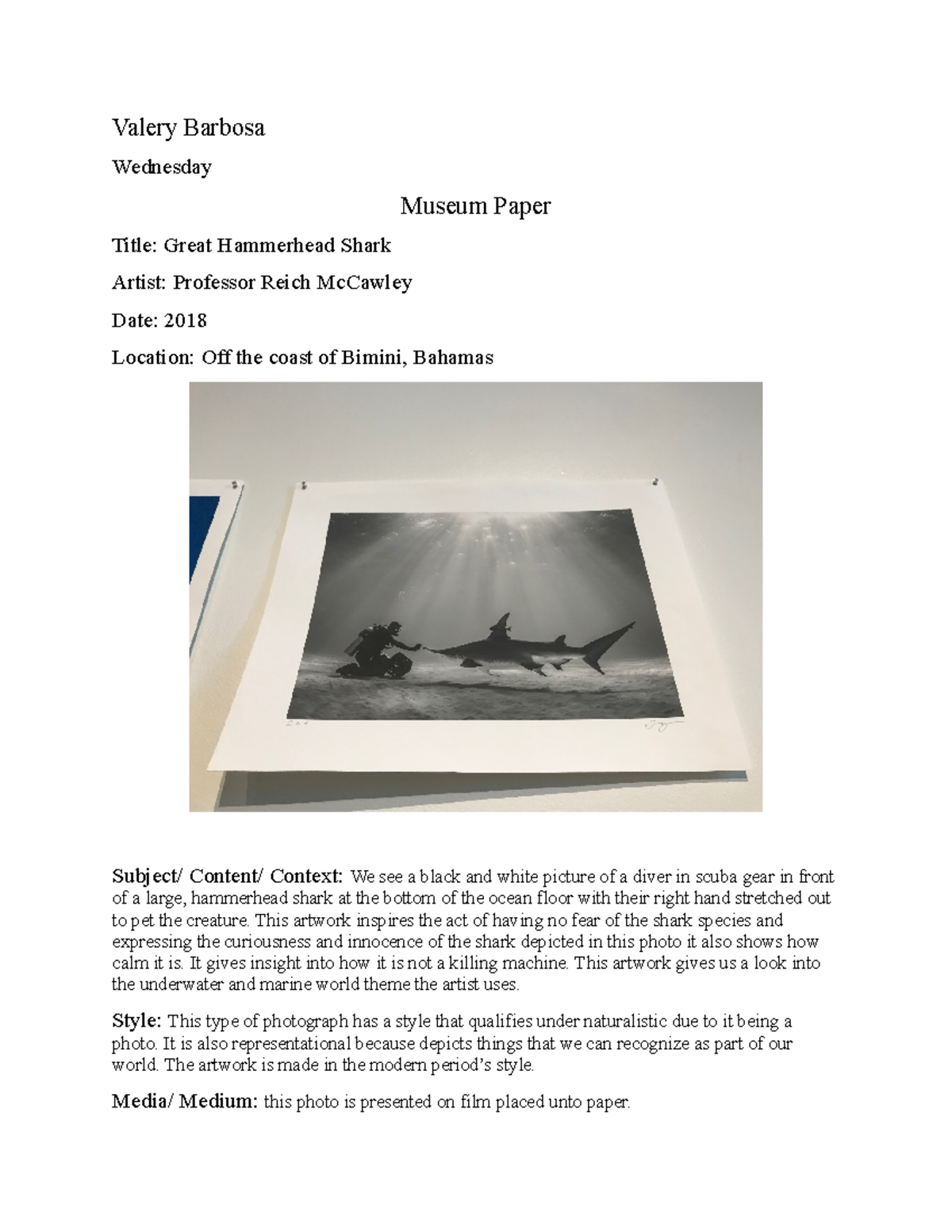 Museum document ```` Valery Barbosa Wednesday Museum Paper Title