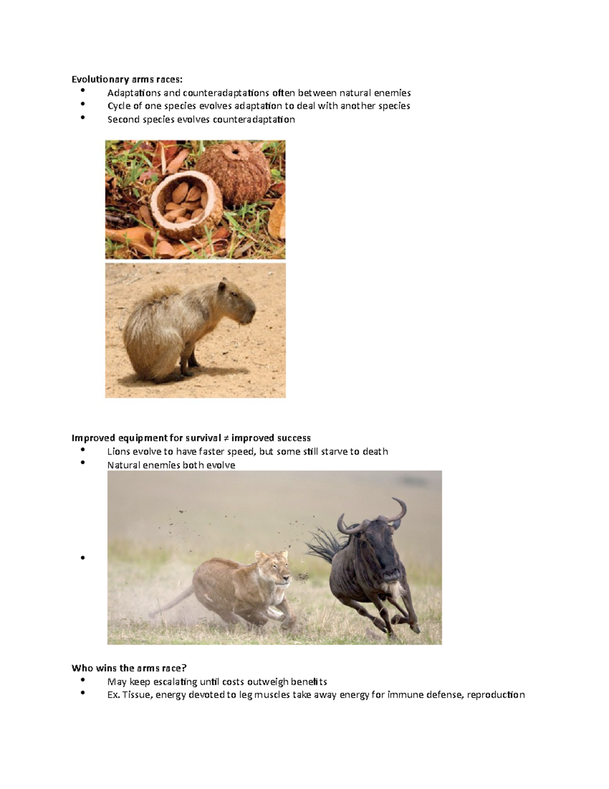 Evolutionary Arms Race Evolutionary arms races Adaptations and