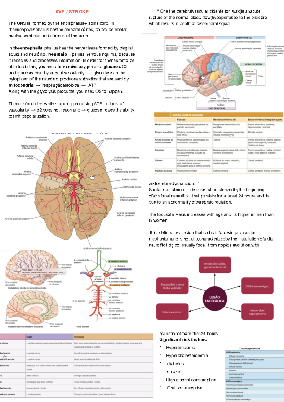 AVE - Structure and Function 3: Cardiovascular, Respiratory and ...