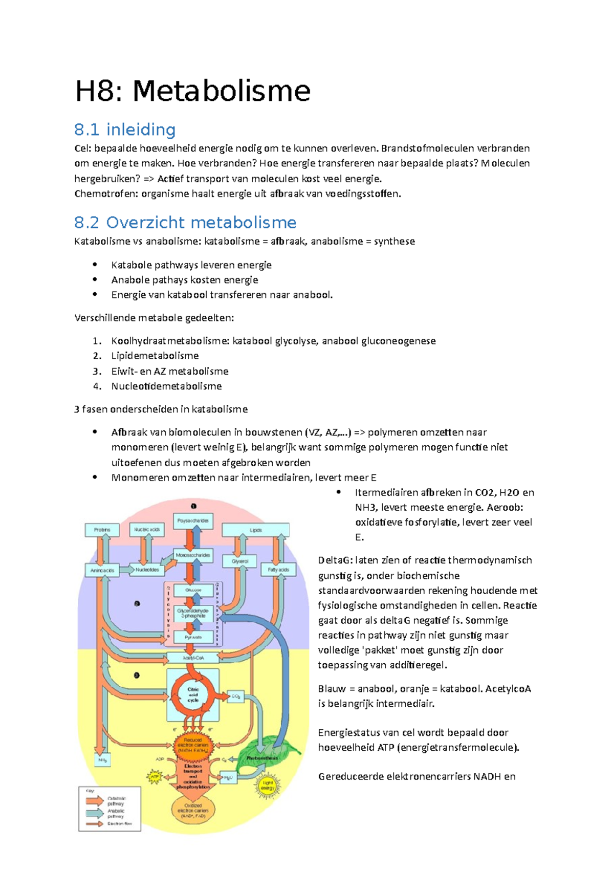 H8 - Metabolisme, Basisconcepten En Structuur - H8: Metabolisme 8 ...