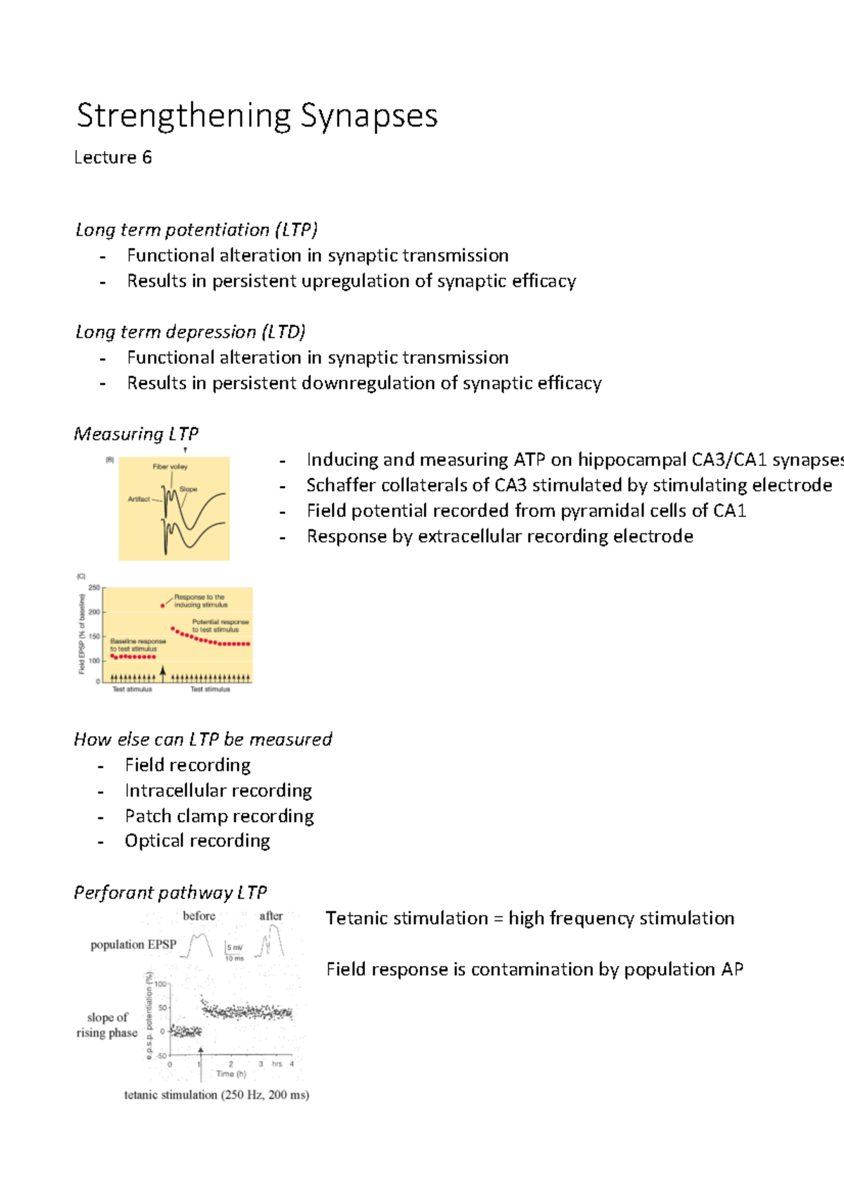Strengthening Synapses - Lecture 6 Long term potentiation (LTP ...