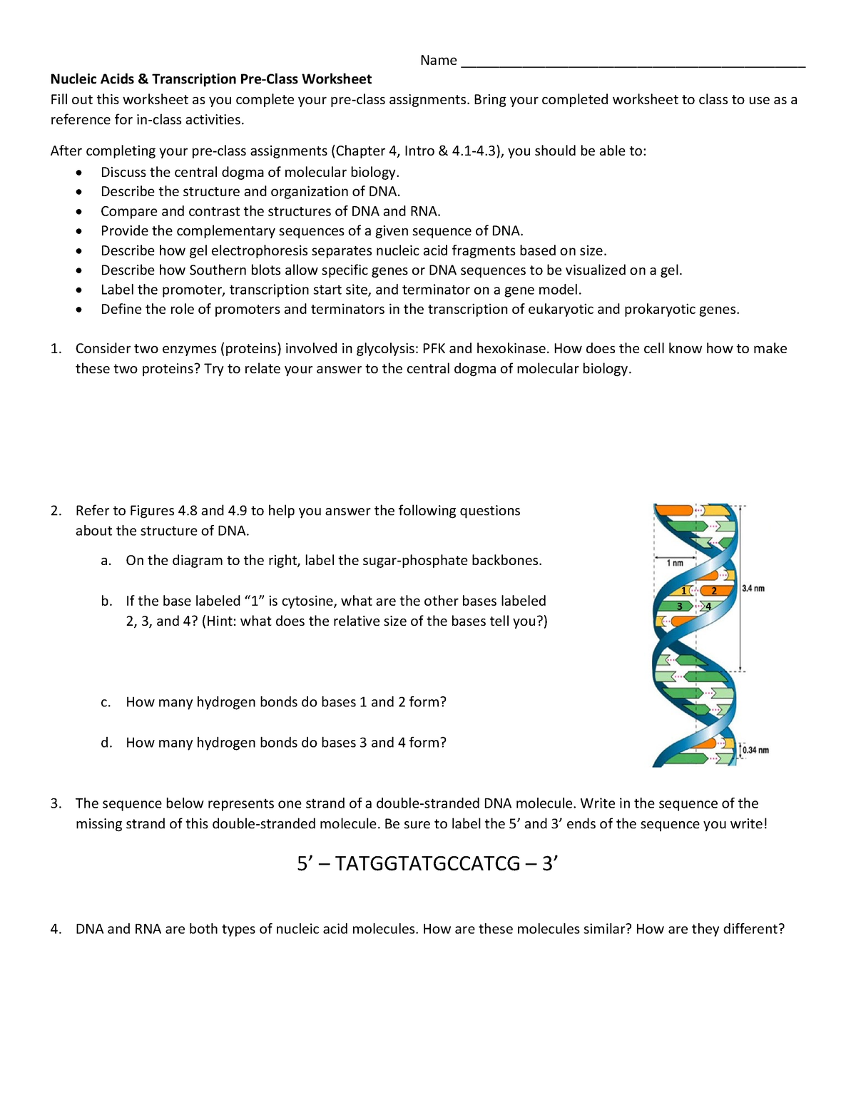 Week 5a Nucleic Acids And Transcription V2 Name