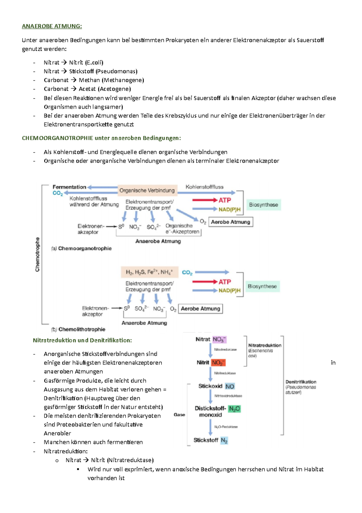 Teil 4 anaerobe Atmung - Zusammenfassung und Ergänzung zu den Folien ...