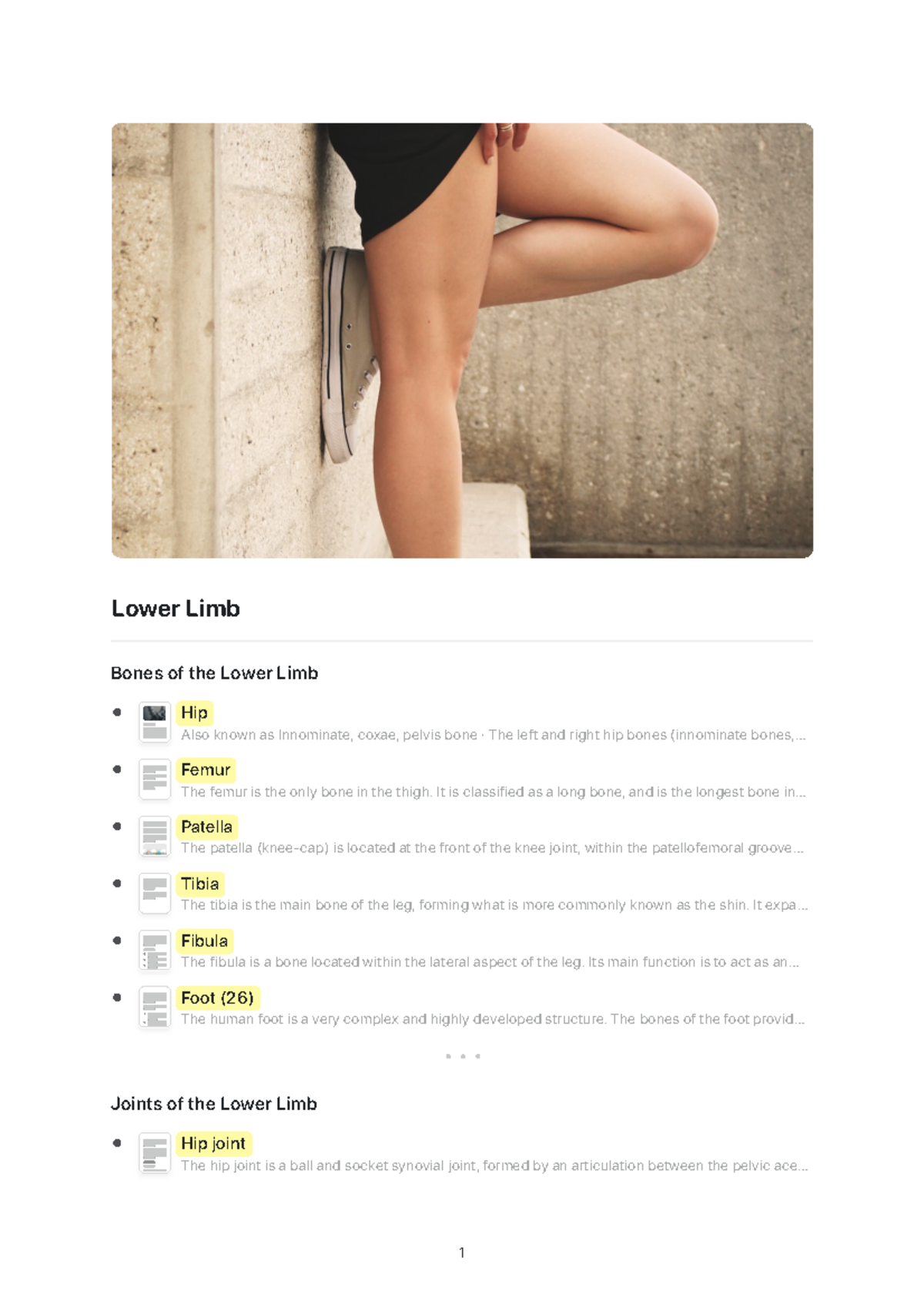 Lower Limb - Summary Anatomy 1 - Lower Limb Bones of the Lower Limb Hip ...