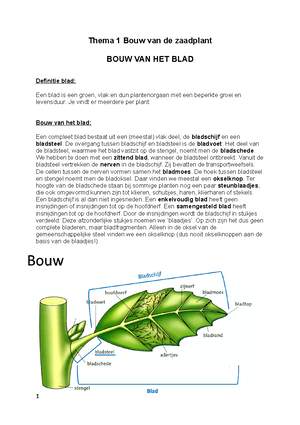 Biologie Oefeningen En Antwoorden - Biologie 1 - Arteveldehogeschool ...