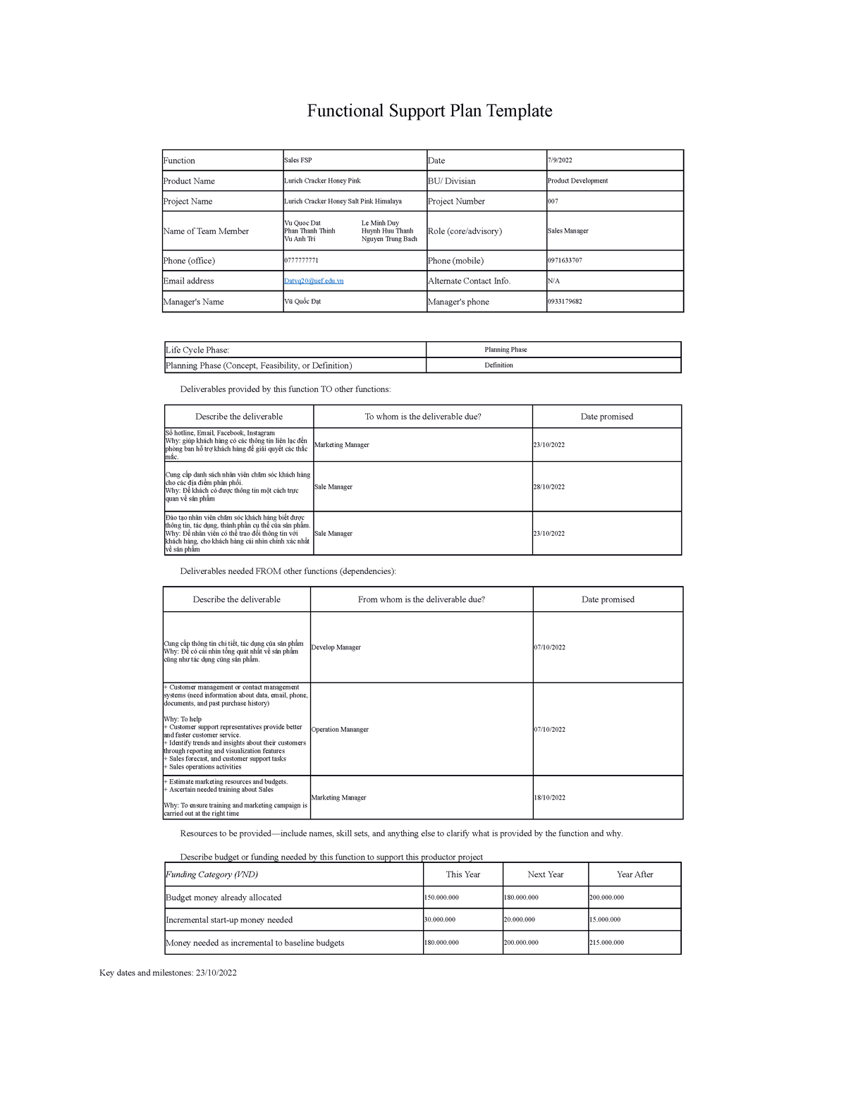 customer-aaaa-functional-support-plan-template-function-sales-fsp