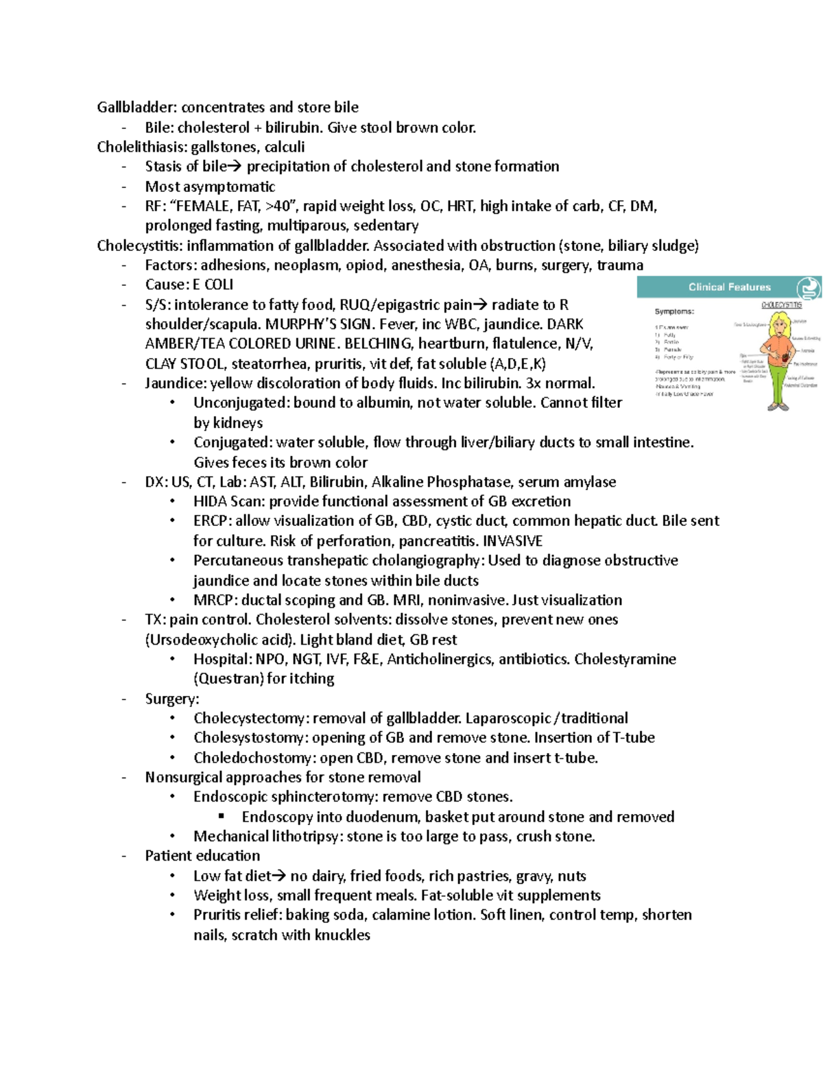 Exam 4 Notes - Gallbladder: concentrates and store bile - Bile ...