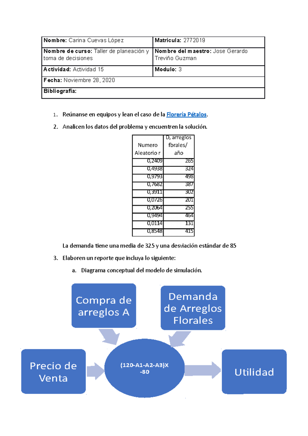Actividad 15 (T. Planeacion y toma de decisiones) - Nombre: Carina ...
