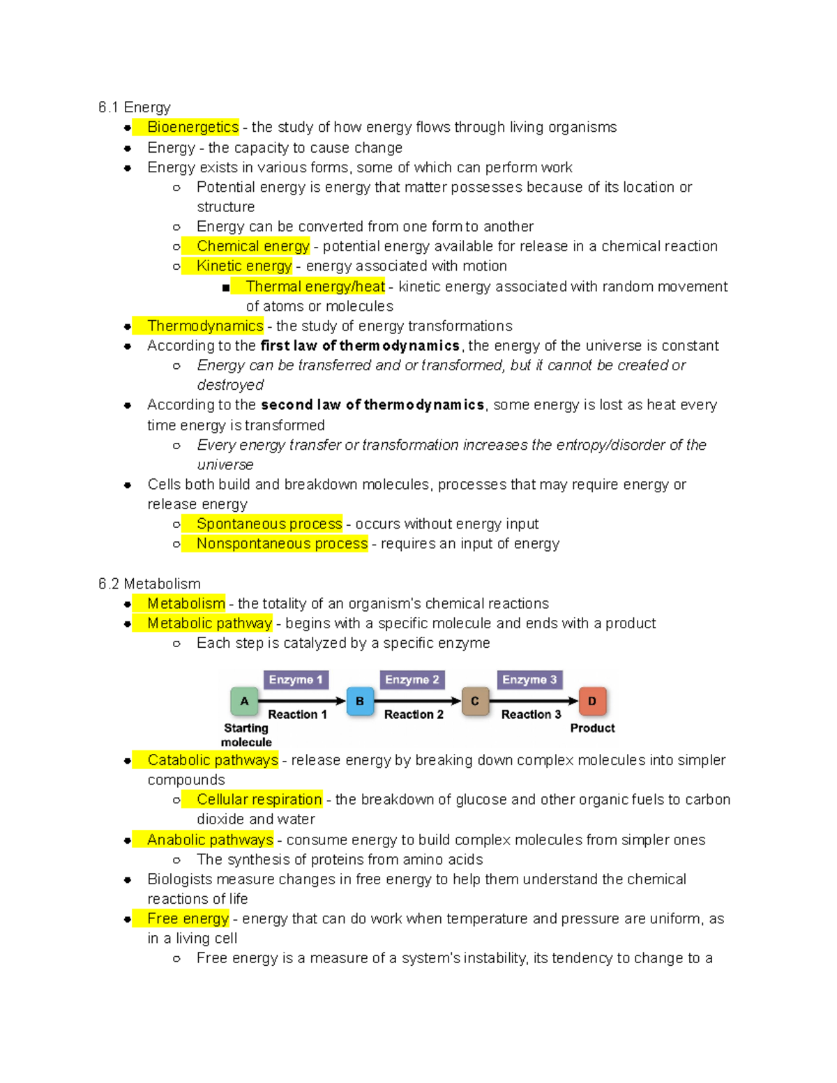 BI 112 Chapter 6 - 6 Energy Bioenergetics - The Study Of How Energy ...