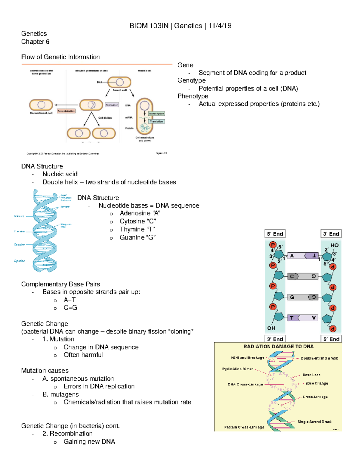 BIOM 103 Genetics 11:4:19 - Genetics Chapter 6 Flow of Genetic ...