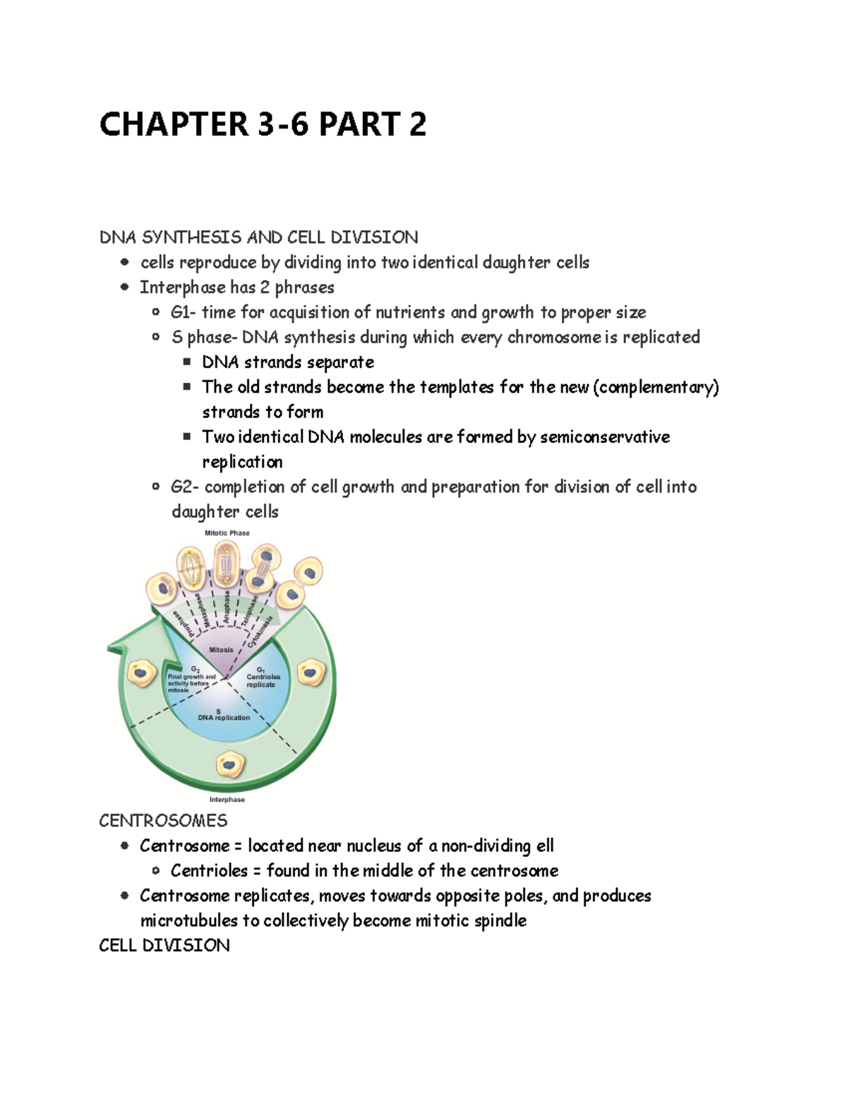 Chapter 3-6 PART 2 - Physiology lecture notes - CHAPTER 3-6 PART 2 DNA ...